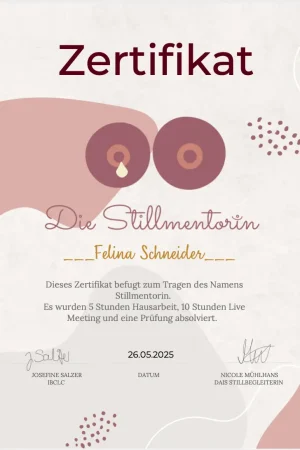 Zertifikat Felina Schneider-Stillmentorin Zertifikat Felina Schneider Stillmentorin